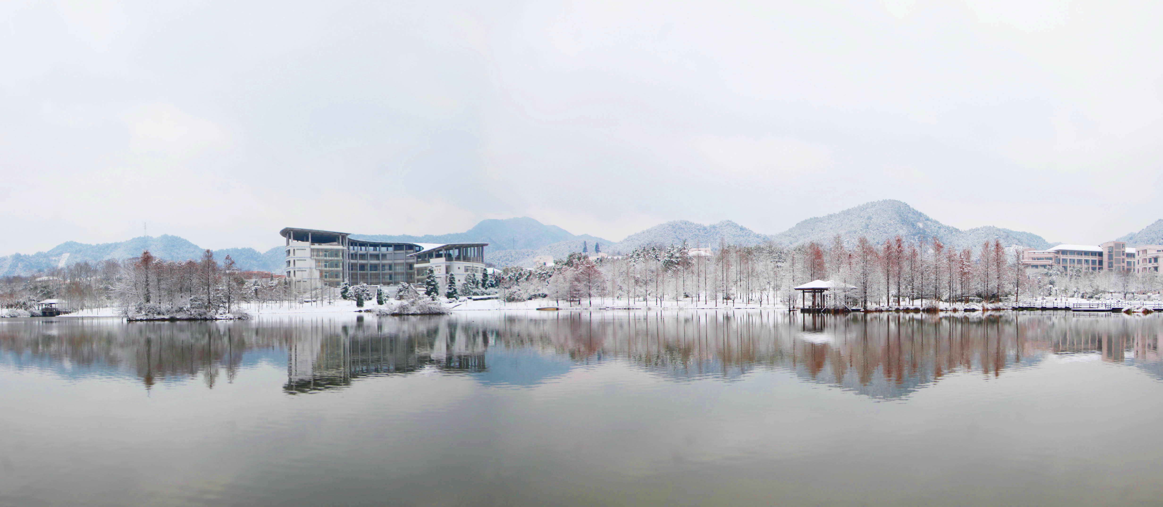 人民网:大学校园成雪园 怎一个美字了得-浙江农林大学