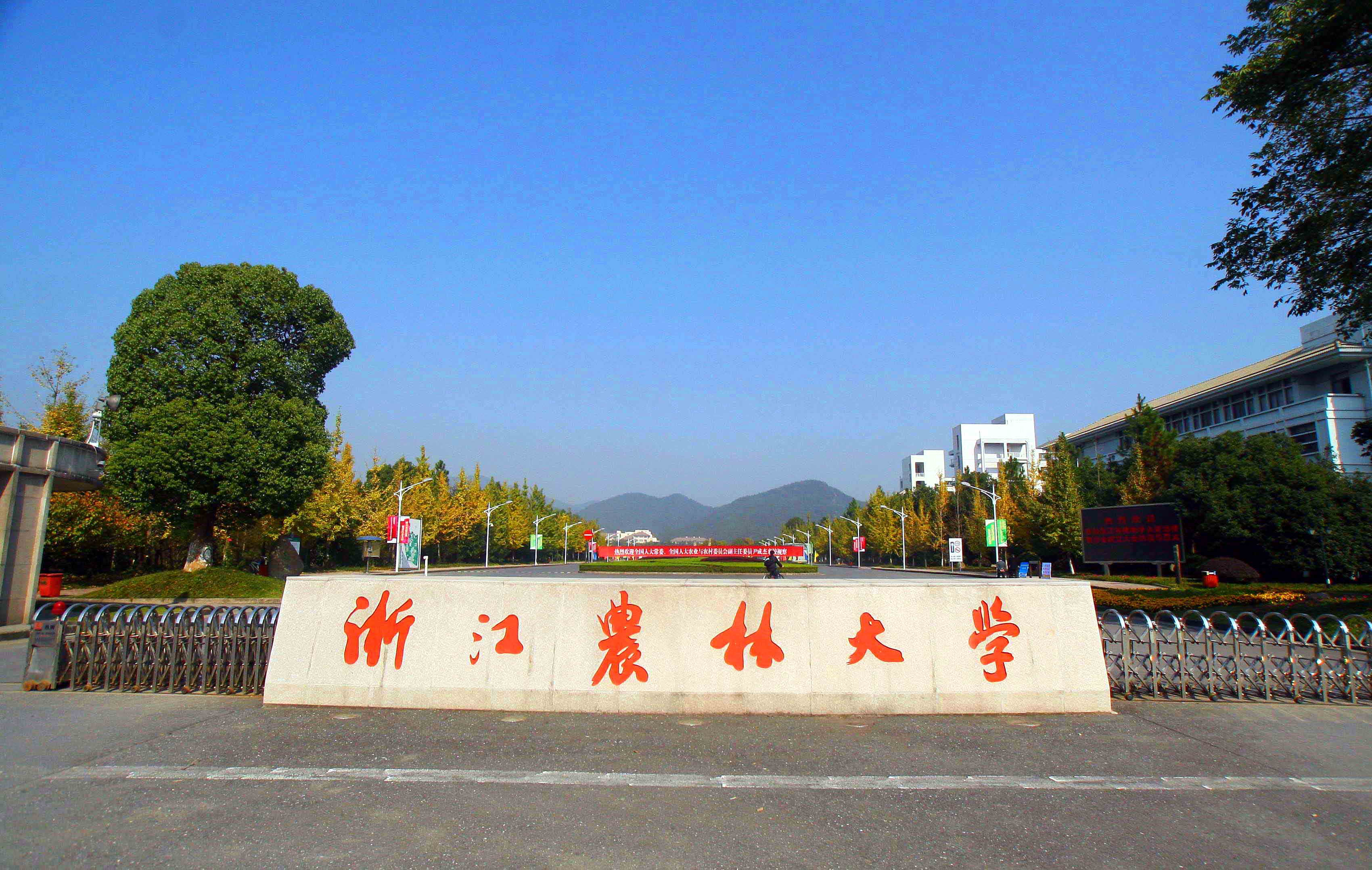 校园风光-浙江农林大学