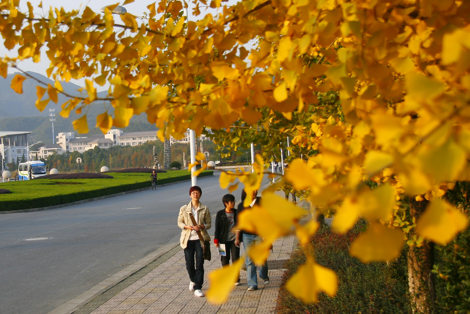 校园掠影-浙江农林大学