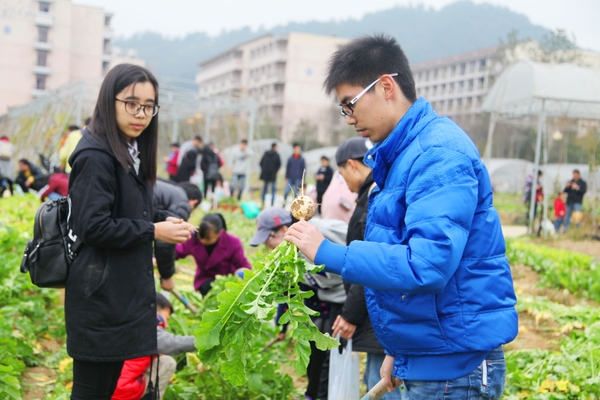 騰訊網這很農林大種菜成必修老師忙搶購